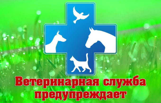 Профилактика опасных болезней животных и защита от них